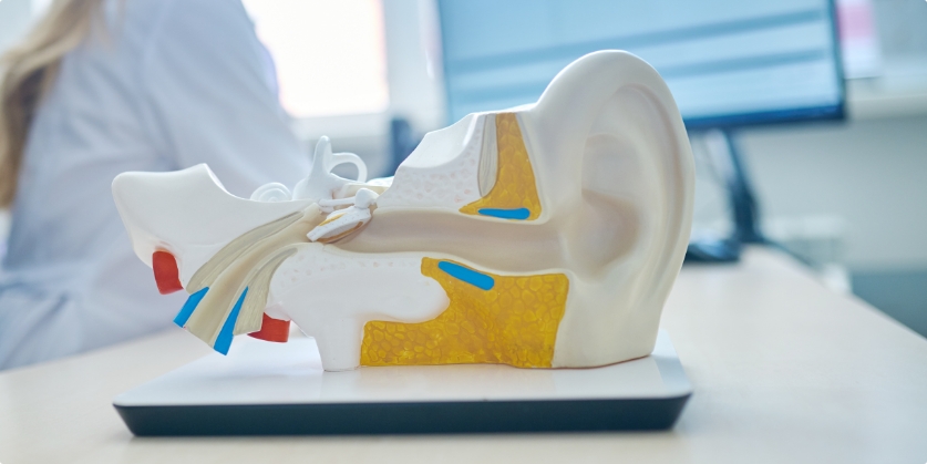 Audiology and Hearing Aid Center Blog